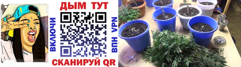 Купить  Мезень  Марихуана VHQ 